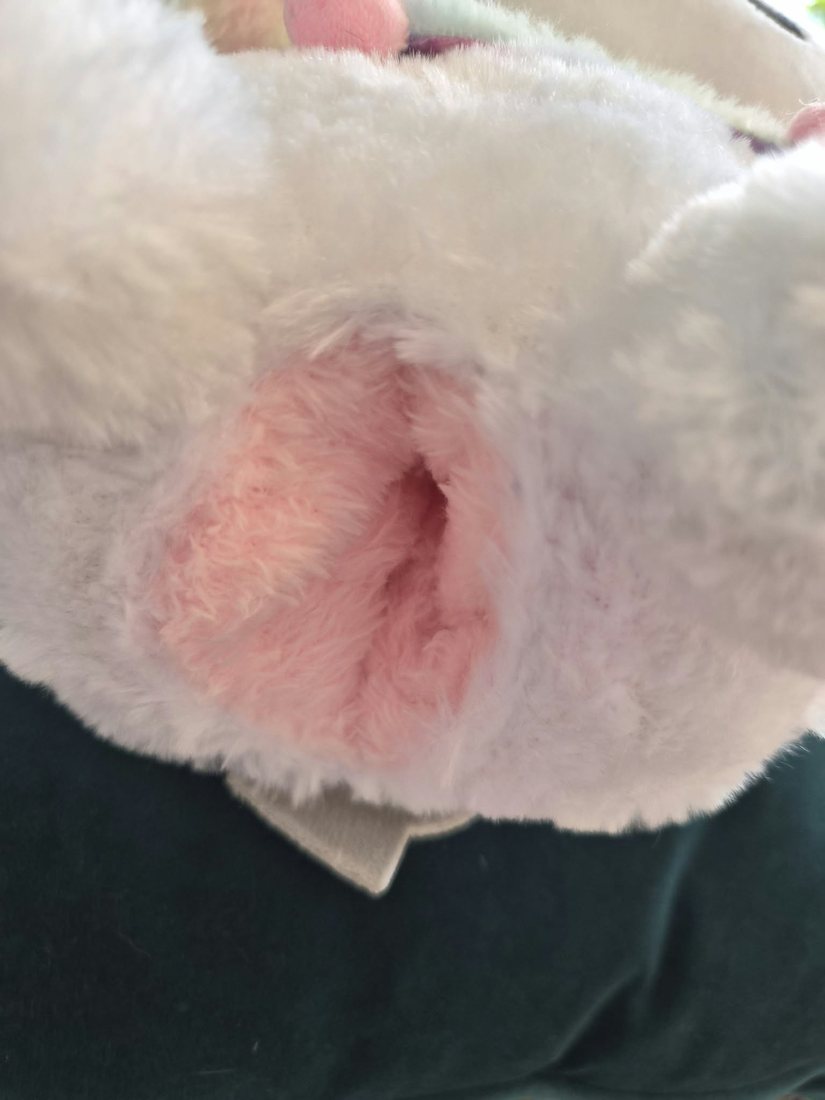 Close-up of the SPH insert showing the soft pink lining