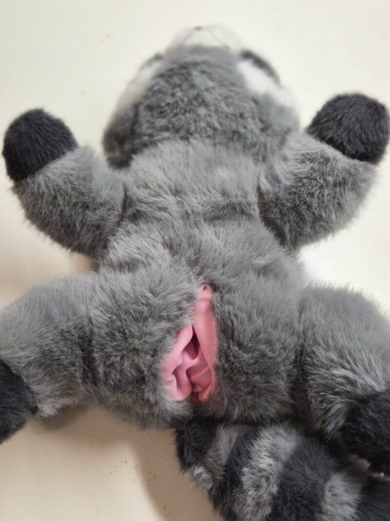 Randy Raccoon Plush with SPH